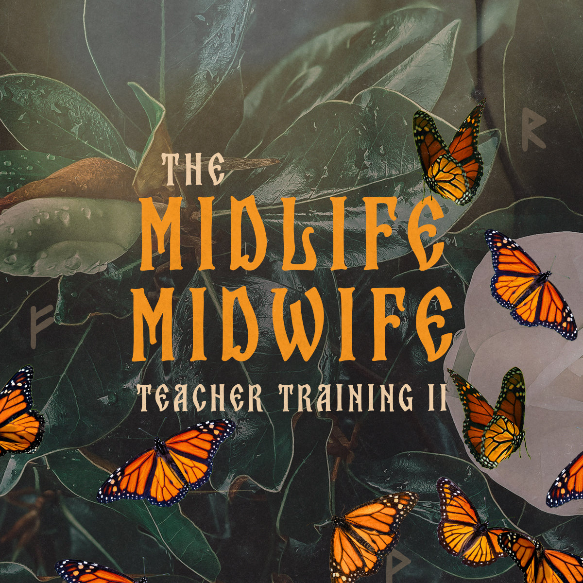 The Midlife Midwife Teacher Training 2.0